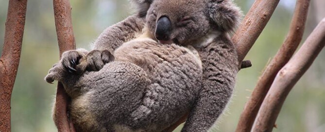 Für Kanalprobleme gibt es keine Ruhezeiten in den Jahreszeiten